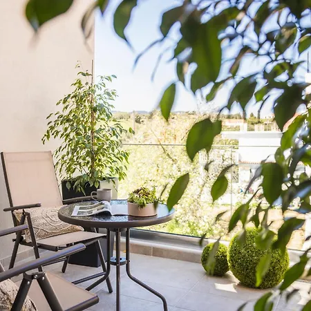 Aparktion-the Ostria Nest